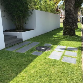 Nice & Green #gardening#gardeninggoldcoast#gardenmaintenance#gardencare#follow#look#gardener#garden#mowing#goldcoast#庭#植木屋#ガーデナー#ゴールドコースト#オーストラリア#芝 #grass #lawn
