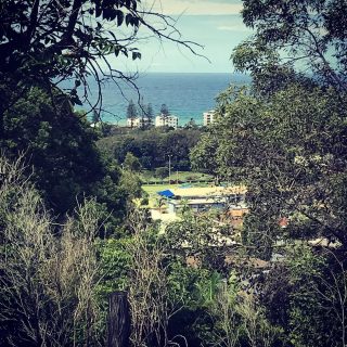 View from client's house. Let's go🏄 #gardening#gardeninggoldcoast#gardenmaintenance#gardencare#follow#look#gardener#garden#mowing#goldcoast#庭#植木屋#ガーデナー#ゴールドコースト#オーストラリア
